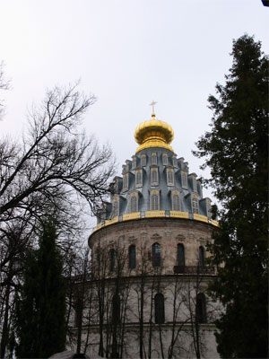 Купол Воскресенского собора. 
        Фото: Татьяна Свиридова