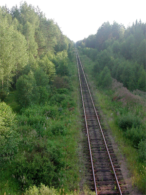 Линия около станции Великодворье.
            Фото: Дмитрий Фокин